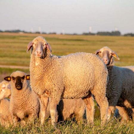 Leichte Brise Daire Greetsiel Dış mekan fotoğraf